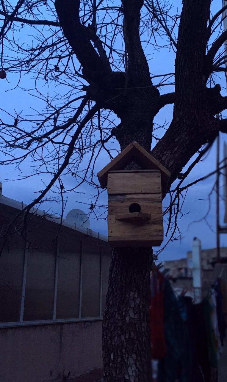 Birdhouse Rooms Tiflis Dış mekan fotoğraf
