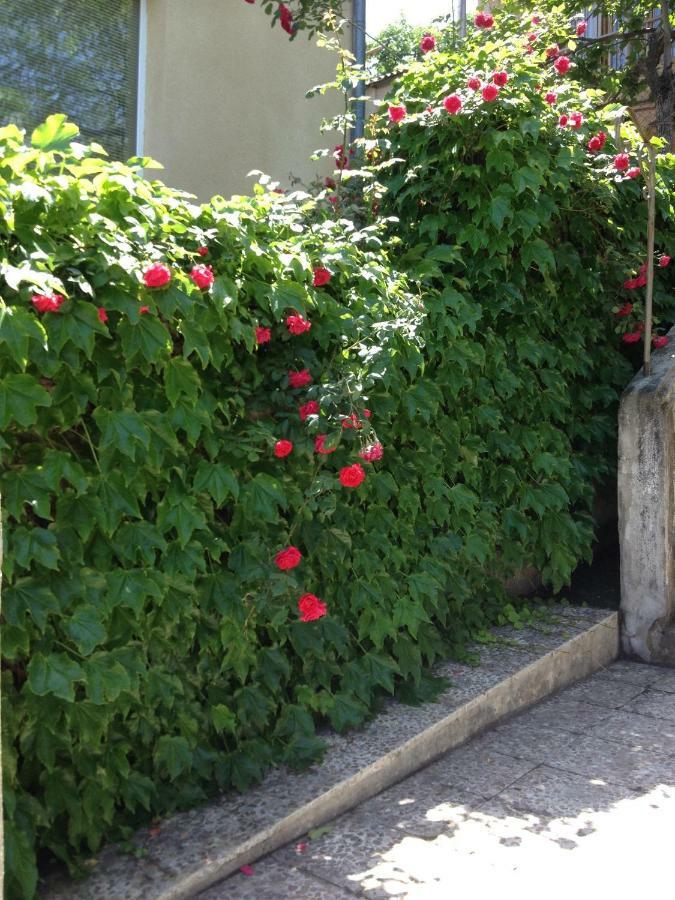 Birdhouse Rooms Tiflis Dış mekan fotoğraf